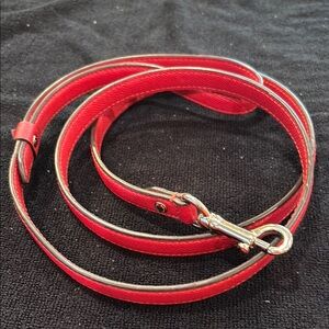 Red Leather Dog Leash